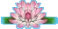 pp20_flower.gif